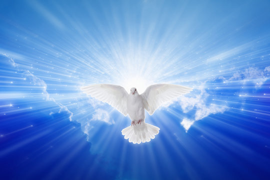 Holy Spirit came down like dove