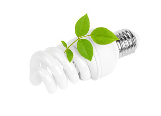 Energy saving light bulb and plant on white background