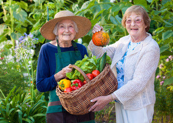 Fototapeta premium Senior Women Showing Farm Vegetables in a Basket