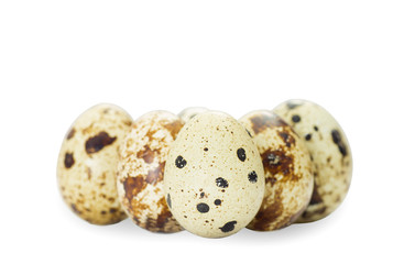 Obraz premium quail eggs on a white background