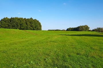 Green Field