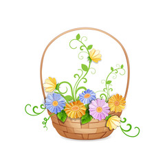 Basket of beautiful  flowers isolated on white.