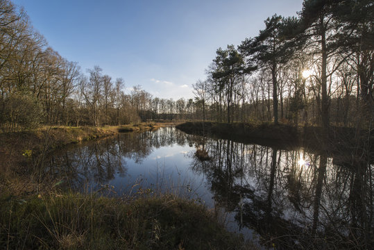 The Nonnenven nature reserve in the Netherlands.