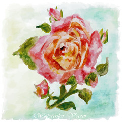 red,pink Watercolor floral summer,spring background.colorful ros