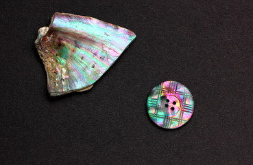 Abalone shell