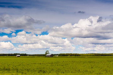 Obraz premium Clouds Over The Summer Fields