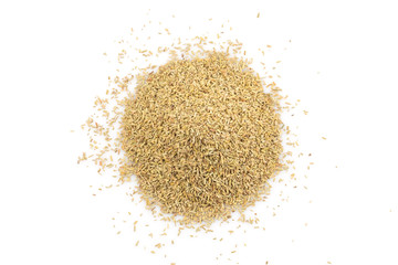 Rosemary spice herb closeup on white