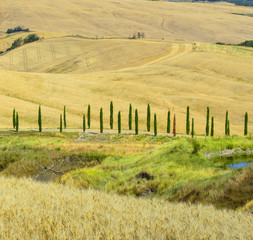 Crete Senesi (Tuscany, Italy)