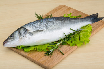 Raw seabass