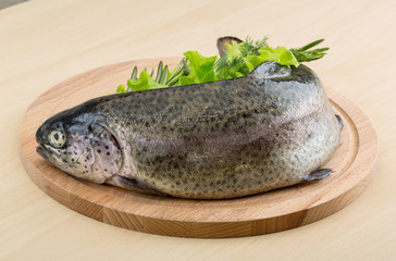 Raw fresh trout