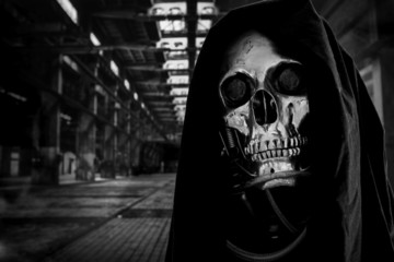 Skull of a human size robot