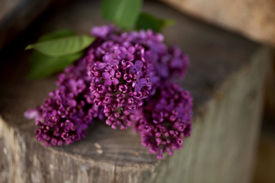 a bouquet of lilac , lilac flowers on wooden bacground - May