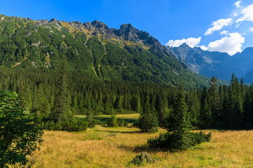 View of Tatra Mountains from trail to Morskie Oko, Poland