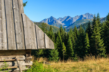 Wooden hut on Rusinowa Polana, Tatra Mountains, Poland © pkazmierczak