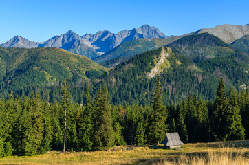 Wooden hut on Rusinowa Polana, Tatra Mountains, Poland © pkazmierczak