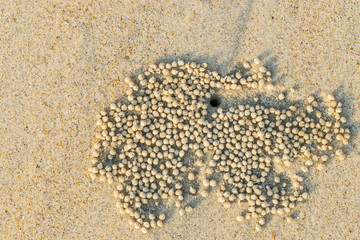 Goa beaches
