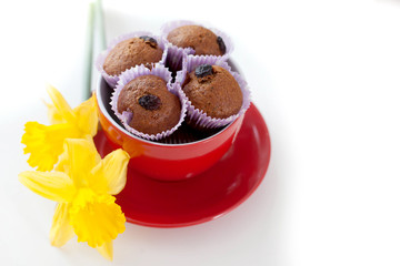 Chocolate muffins with raisins in a cup red
