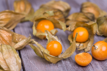 physalis