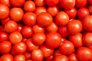 Many ripe red tomatoes