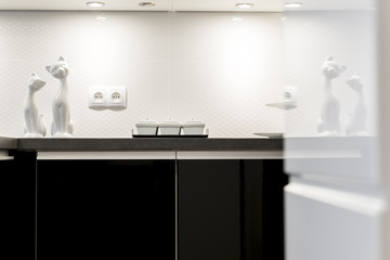Detail of modern black and white kitchen