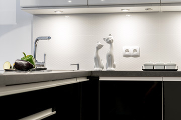 Detail of modern black and white kitchen