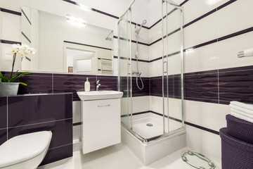 Modern bathroom with  shower cubicle