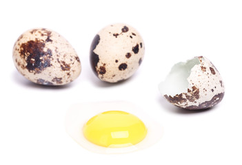 quail eggs