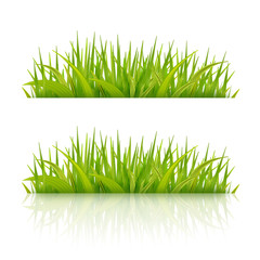 Green grass with reflection on white