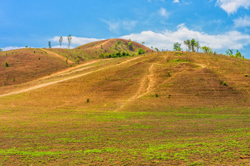 The landscape view of bald mountain or grass mountain in Ranong