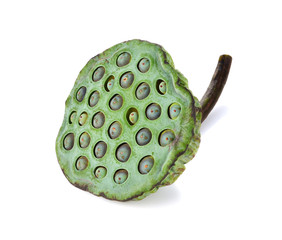 Lotus seed isolate white background