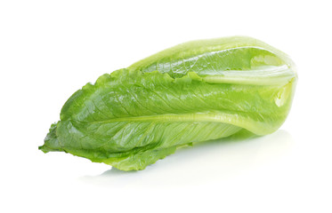 Fresh cos lettuce on white background