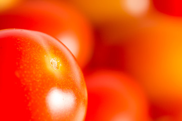 close-up fresh tomatoes from garden in thailand