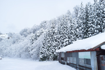 Snowy view, Takayama, Japan in winter season.