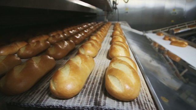 Bread on a conveyor