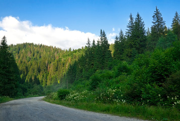 Road in the mountains. Landscape.