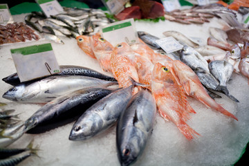 Fresh fish lies on a counter of shop in fish market