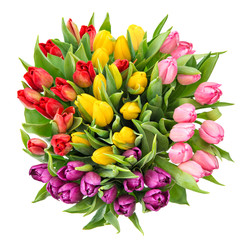 Bouquet of fresh spring tulip flowers isolated on white backgrou
