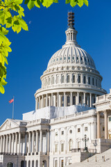 Fototapeta na wymiar US Capitol