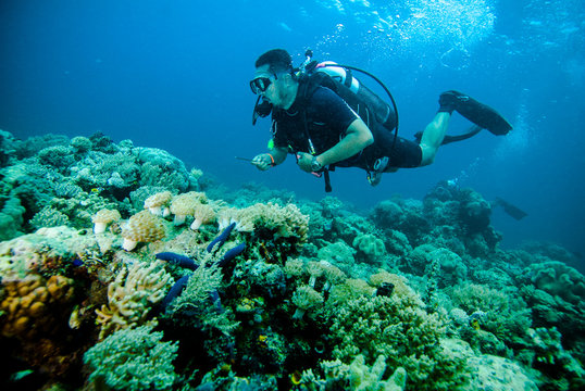 scuba diving diver kapoposang sulawesi indonesia underwater