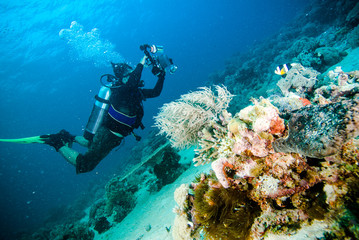 Naklejka na ściany i meble scuba diving diver kapoposang sulawesi indonesia underwater