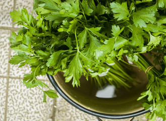 Green parsley