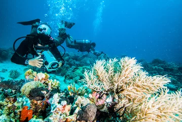 Fotobehang Duiken diver take a photo video coral kapoposang indonesia scuba diving