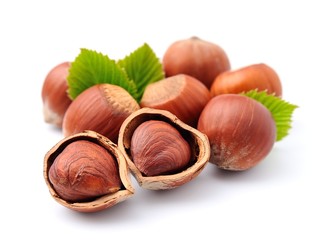 Filbert nuts with leaves