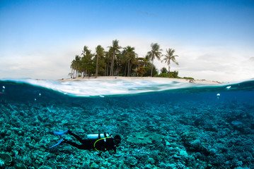 scuba diver coconut island kapoposang underwater bali lombok