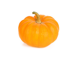 pumpkin isolated on white background