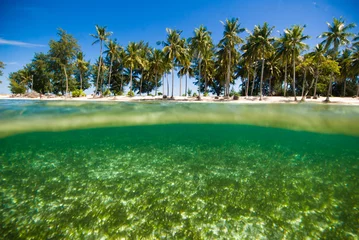Foto op Plexiglas crystal clear water kapoposang indonesia scuba diving diver © fenkieandreas