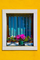 window with colorful flowers, Italy