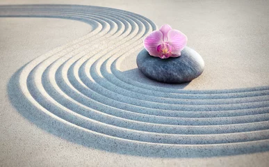 Foto op Canvas Orchidee op steen in het zand 2 © peterschreiber.media