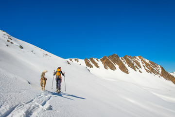 Fototapeta na wymiar Girl makes ski mountaineering with dog.