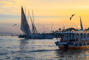 Egyptian boats and flying seagulls on the Nile river